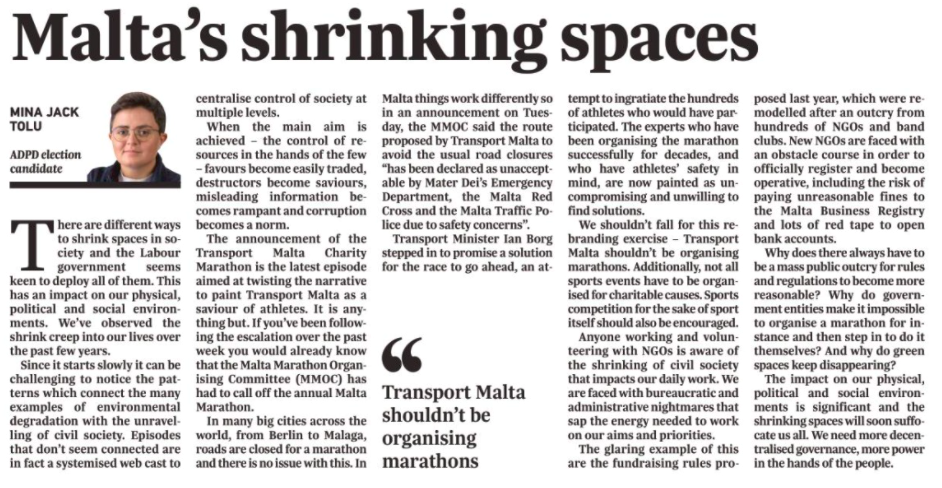 Screenshot of Mina's article in the Times of Malta